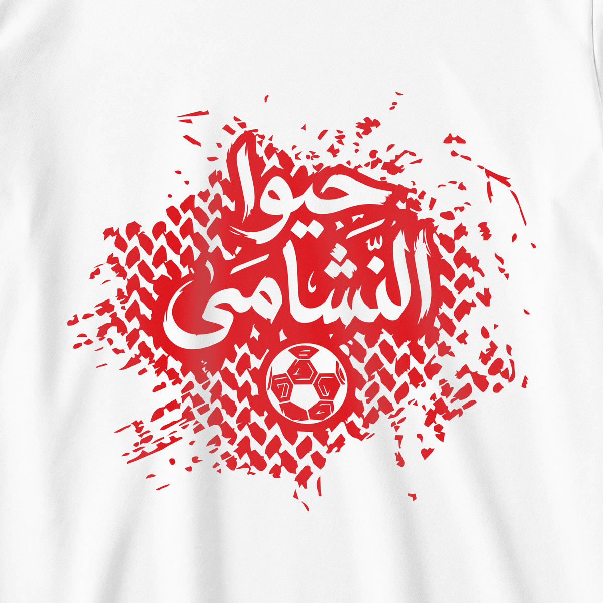 حيوا النشامى