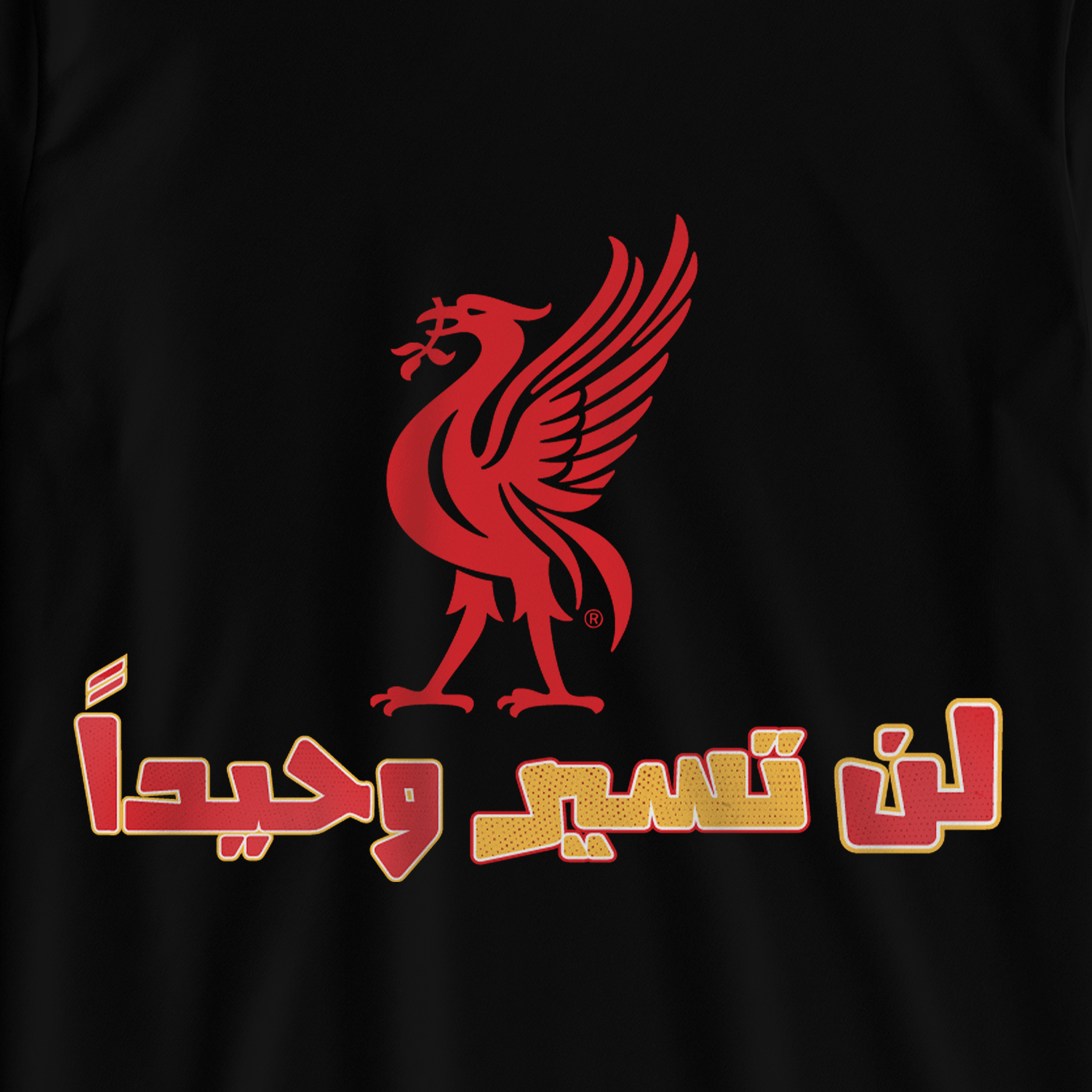 لن تسير وحيداً ٢